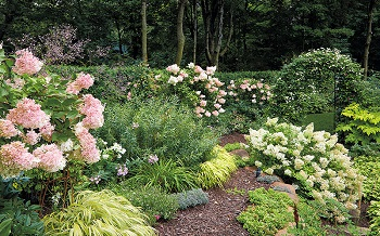 Pretty pink garden for an easy and elegant garden color theme 5