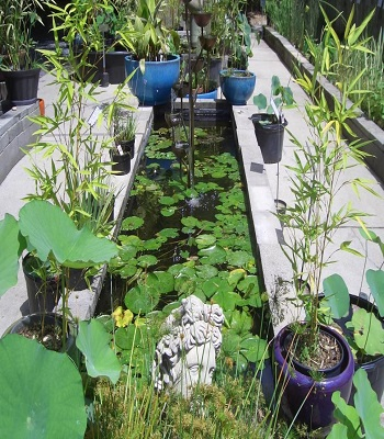 Romanesque pond featuring sculpture Innovative Landscape Ideas For Water Features To Create A New Look