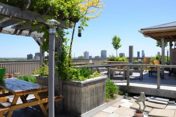 Rooftop garden with bird-feeder