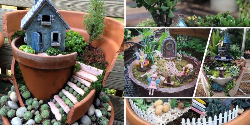 Ultra-gorgeous miniature fairy garden design that is trendy for backyards and anywhere 5