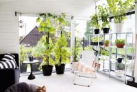 Unique orangery for listening to the rain or enjoy the nature during dinner 4