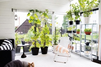 Unique orangery for listening to the rain or enjoy the nature during dinner 4