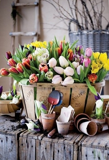 Wooden basket of tulips Bring Your Spring Vibe More For Home Decoration With The Beauty Of Tulips