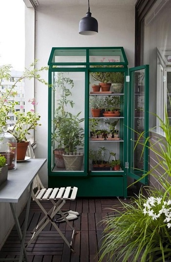 A bold greenhouse with planters