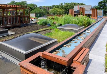 Decorative raised pool