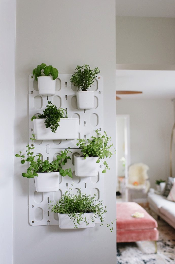 Indoor-garden-4-1
