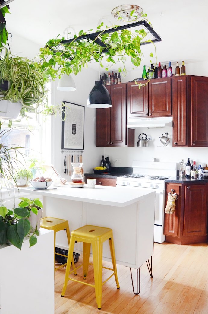 Indoor-garden-8-1