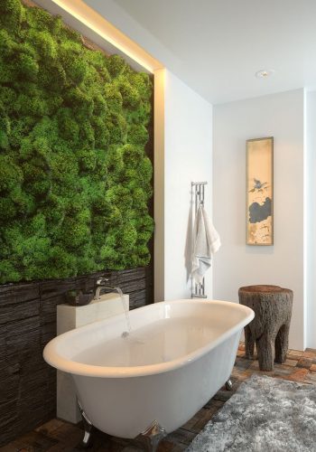 Living moss wall with a wooden part