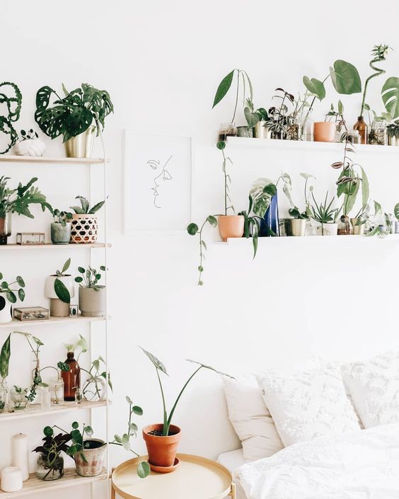 Minimalist-indoor-garden-design-for-bedrooms