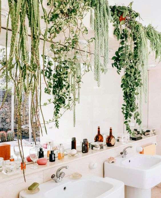 Modern-garden-idea-for-bathroom