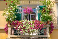 Vibrant floral display