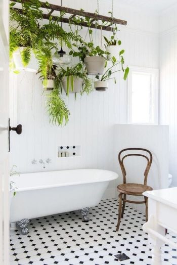 Vintage ladder with potted greenery