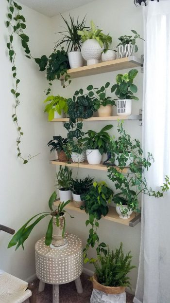With some floating shelves
