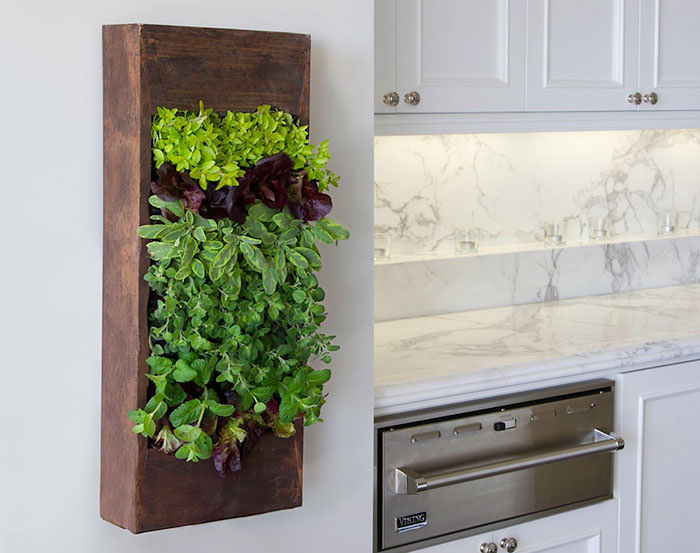 1-14-brilliant-diy-indoor-herb-garden-ideas-6