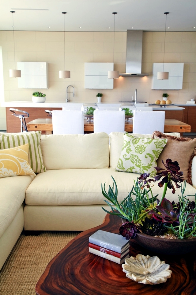 1-32-ideas-for-interior-decoration-plants-creative-containers-and-packages-13-175