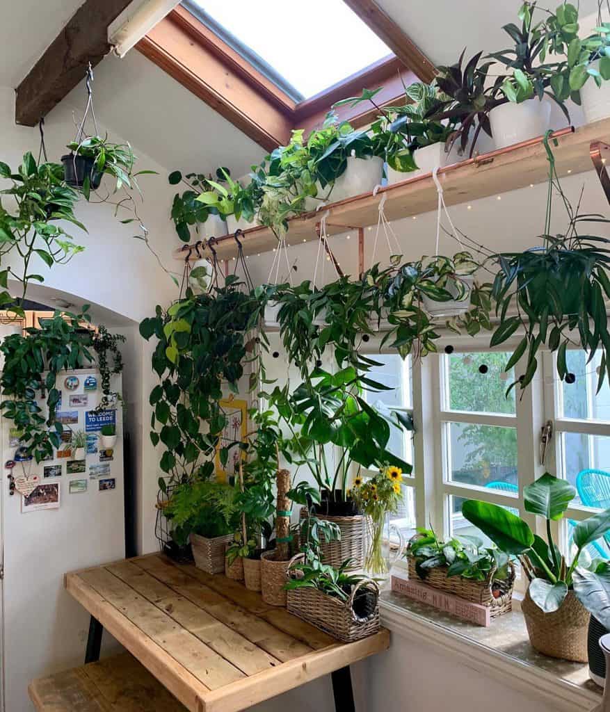 1-hanging-planter-indoor-garden-ideas-its_green_up_north-1316x1536-1