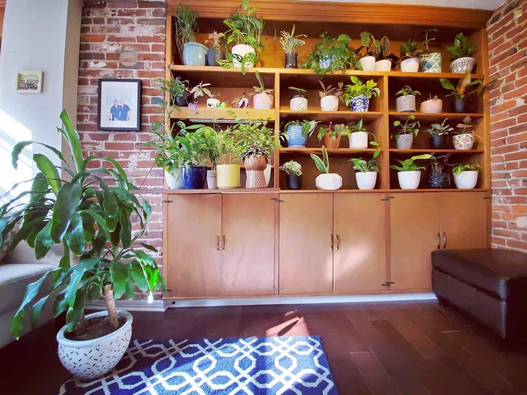 1-plant-shelf-indoor-garden-ideas-gardenonthegram_-20200912-ylu8es