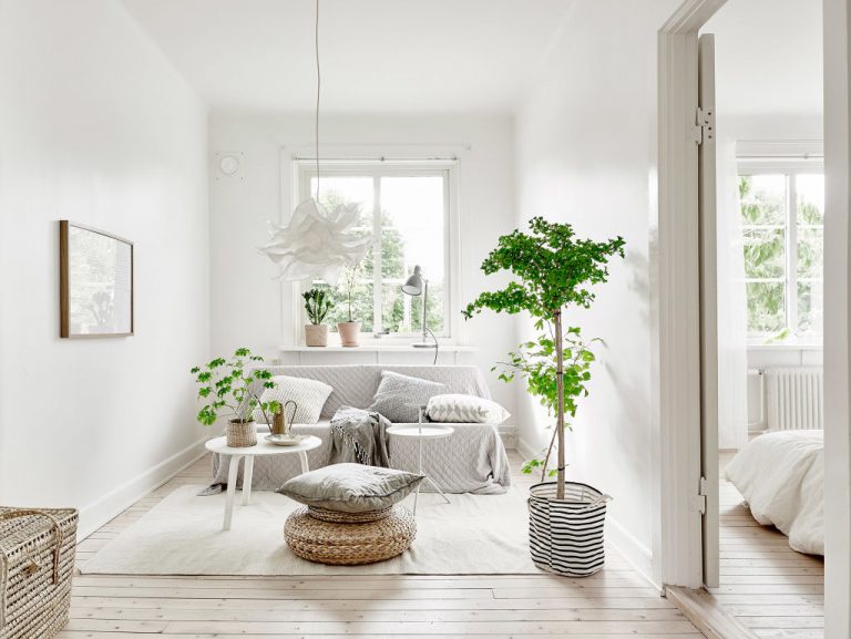 1-scandinavian-decor-plants1-768x577-1