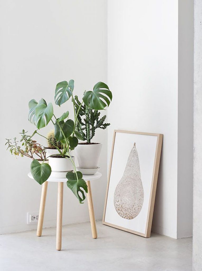 1-scandinavian-decor-plants7-765x1024-1