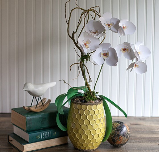 2-paper-orchids