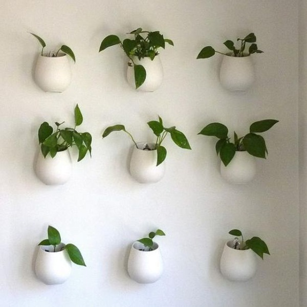 2-decorate-home-with-plants11