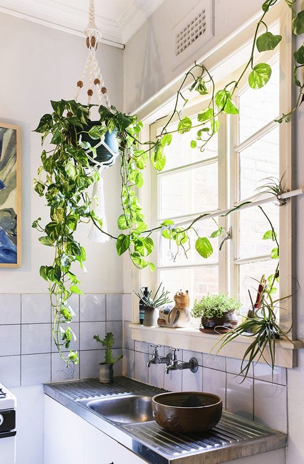 2-decorate-home-with-plants21