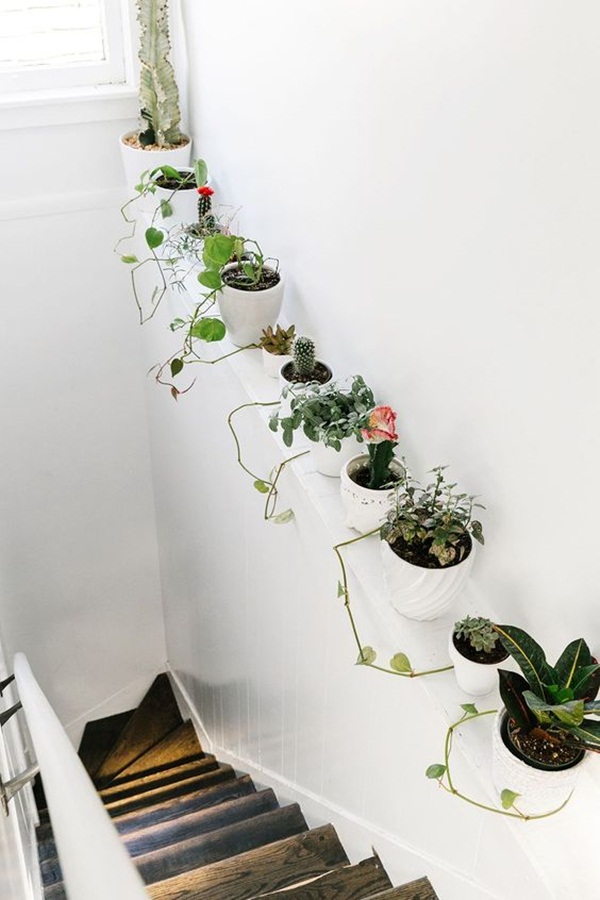 2-decorate-home-with-plants31