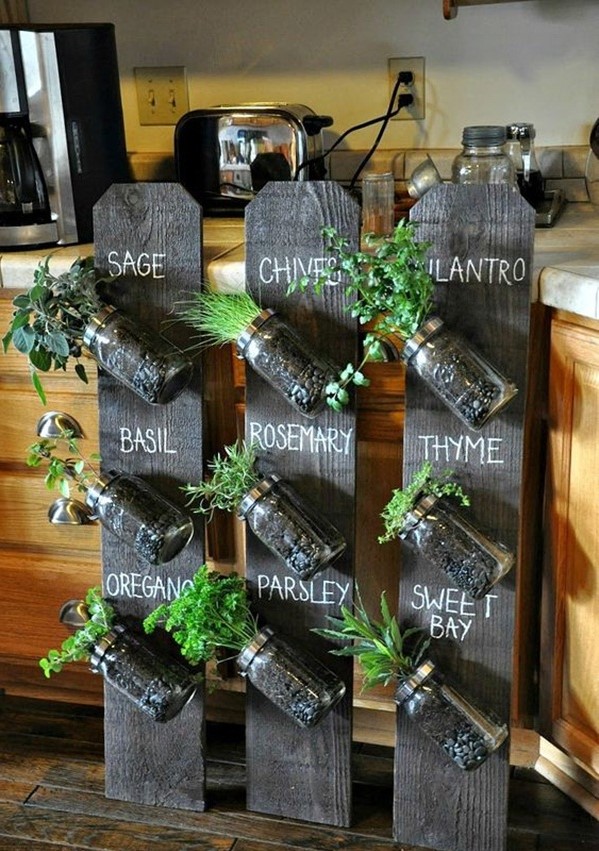 2-decorate-home-with-plants4