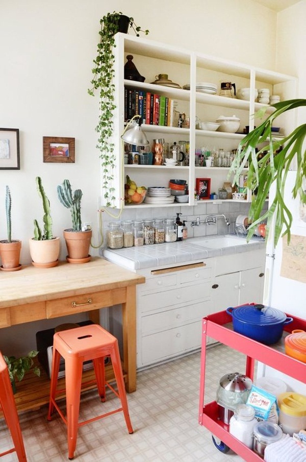 2-decorate-home-with-plants47
