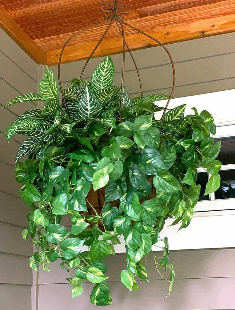 2-diy-fake-plant-decor-screen-porch