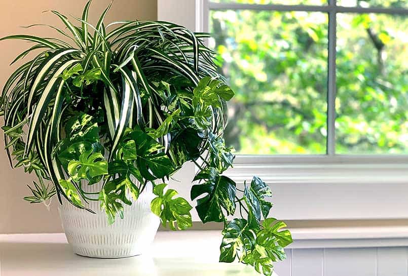 2-diy-fake-plant-decor-spider