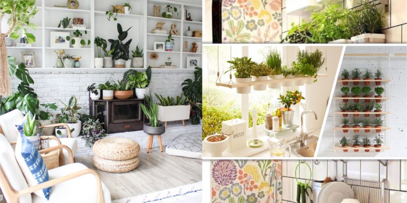 30 fresh indoor garden ideas 2