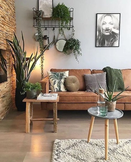 7-02-transform-living-room-quarantine-plants-1