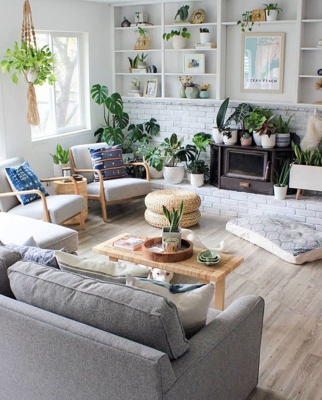 9-indoor-plants-1