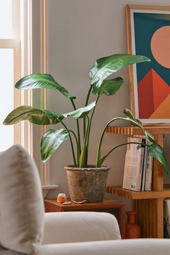 Bird-of-paradise-faux-plant