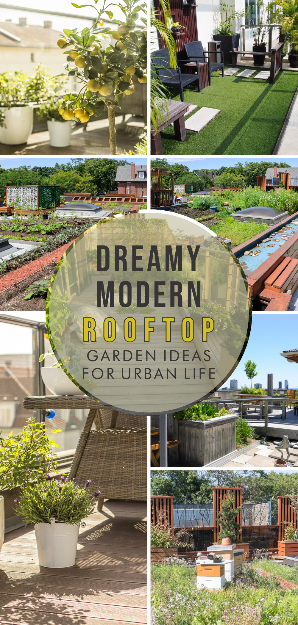 Dreamy-modern-rooftop-garden-ideas-for-urban-life-1