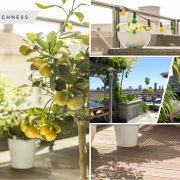Dreamy modern rooftop garden ideas for urban life 5