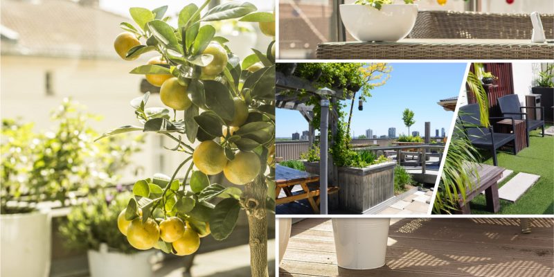 Dreamy modern rooftop garden ideas for urban life 5