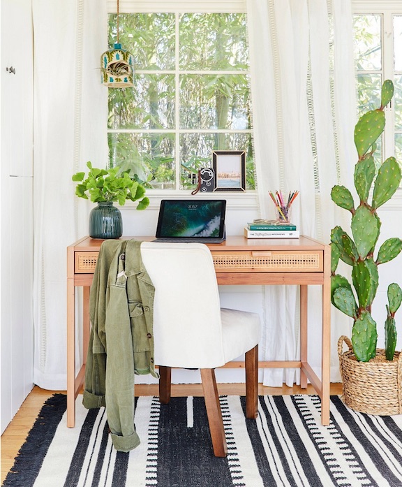 Faux-cactus-large-in-office-target