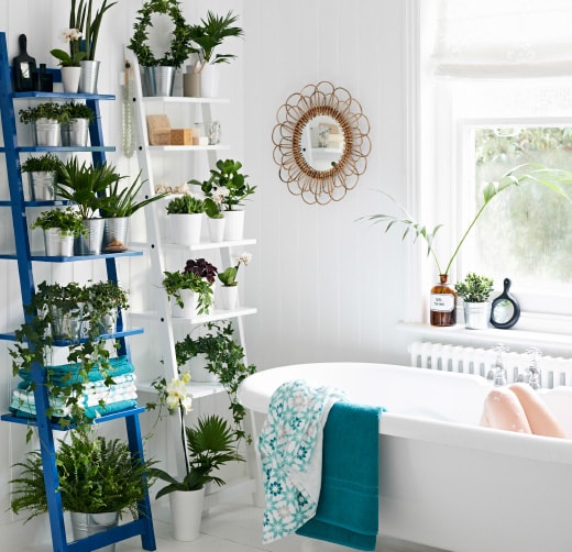 Growing-indoor-plants-in-bathroom