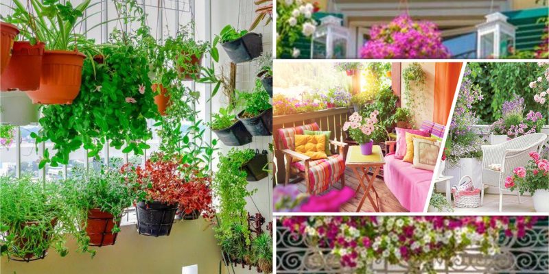 Inspiring balcony gardening ideas that anyone will wish to have soon 2