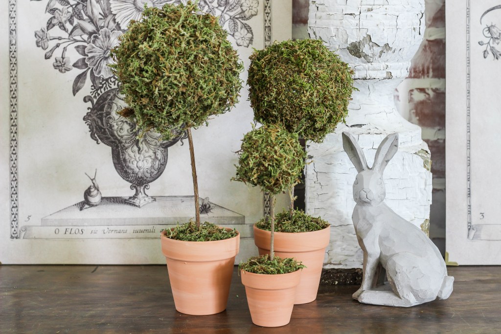 Mini-moss-ball-topiary-diy