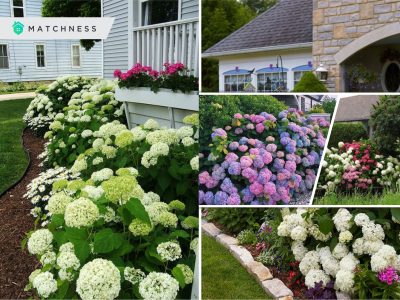 Pretty pink garden for an easy and elegant garden color theme 5