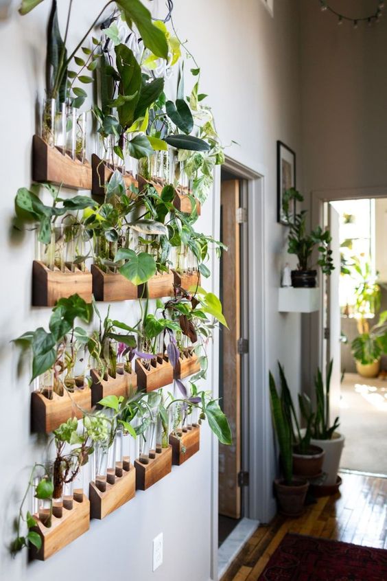 Test-tube-wall-garden