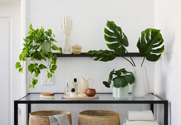 The-sill-faux-plants-bathroom