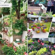 Turn your small space into a large garden area with these genius space-savvy solutions fi