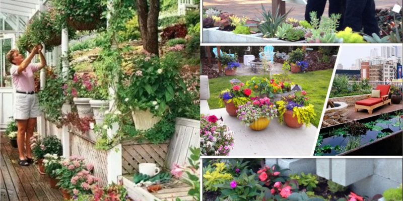 Turn your small space into a large garden area with these genius space-savvy solutions fi
