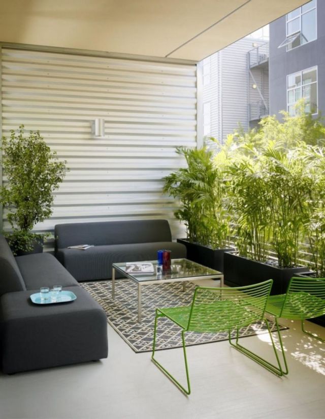 Vibrant-small-indoor-gardens