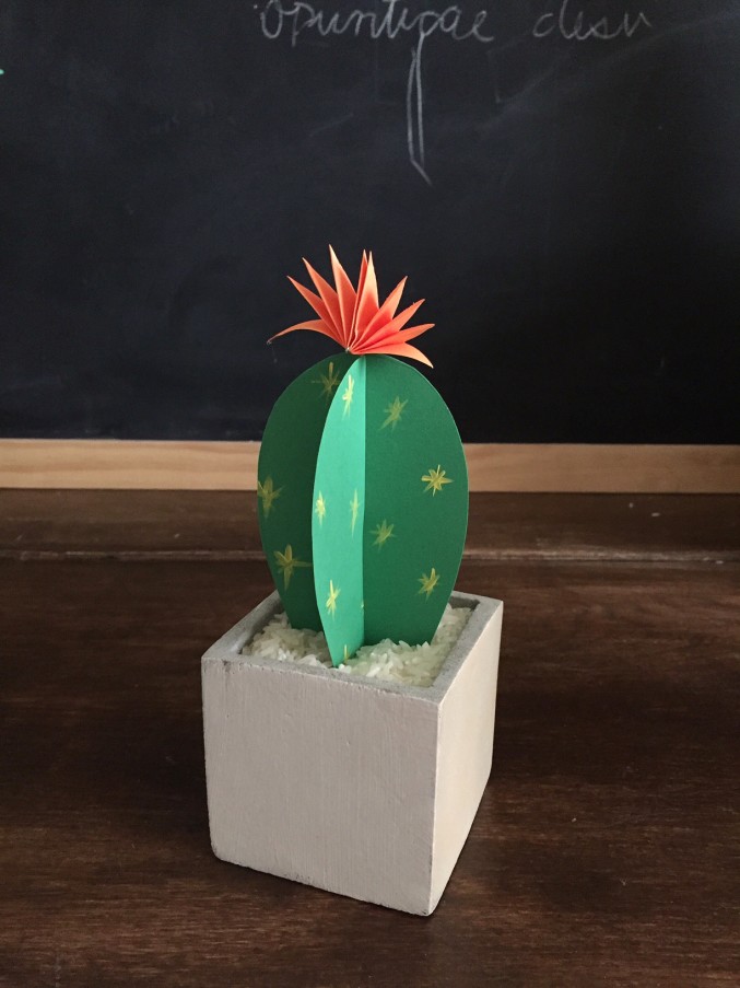 Cactus-21-e1428589932214