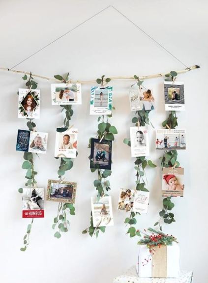 Green-vine-photo-ciip-on-hs